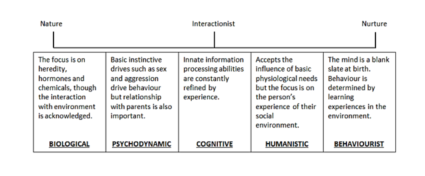 Perspectives Gradient.png